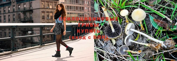 синтетический гашиш Карпинск