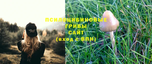 синтетический гашиш Карпинск