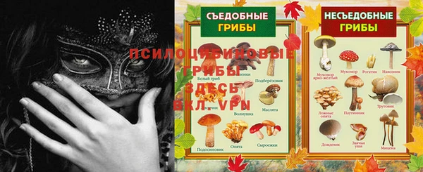спайс Киренск