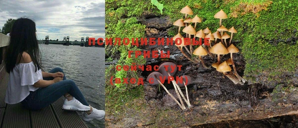 синтетический гашиш Карпинск